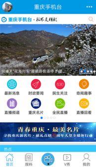 重庆v视频,带你领略山城魅力瞬间