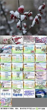 梅花魂说课视频,传承与创新——说课视频深度解析