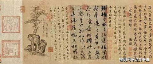 书法视频始,视频解析传统艺术魅力