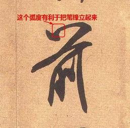 书法视频始,视频解析传统艺术魅力