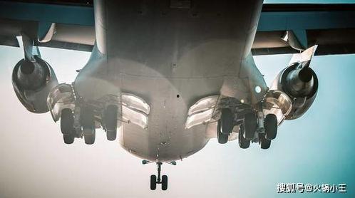 c17运输机视频,空中巨兽的强大实力与卓越性能全解析