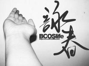 咏春入门教学视频,跟随教学视频轻松掌握实战技巧