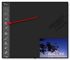 ps裁切视频,打造精彩视频概述