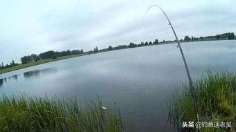 小抛杆视频,揭秘户外垂钓的乐趣与技巧