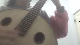 中阮视频,探索传统音乐的魅力之旅