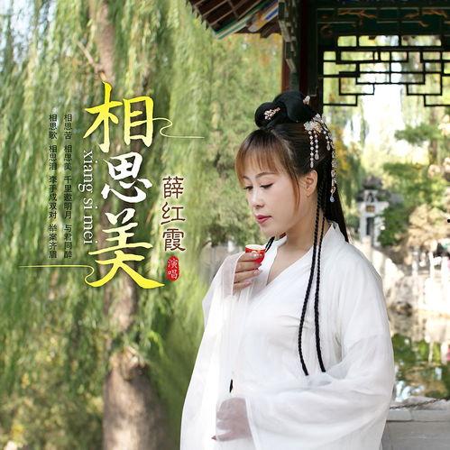 相思美视频,穿越时空的浪漫邂逅