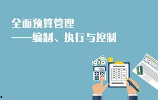 全面预算视频